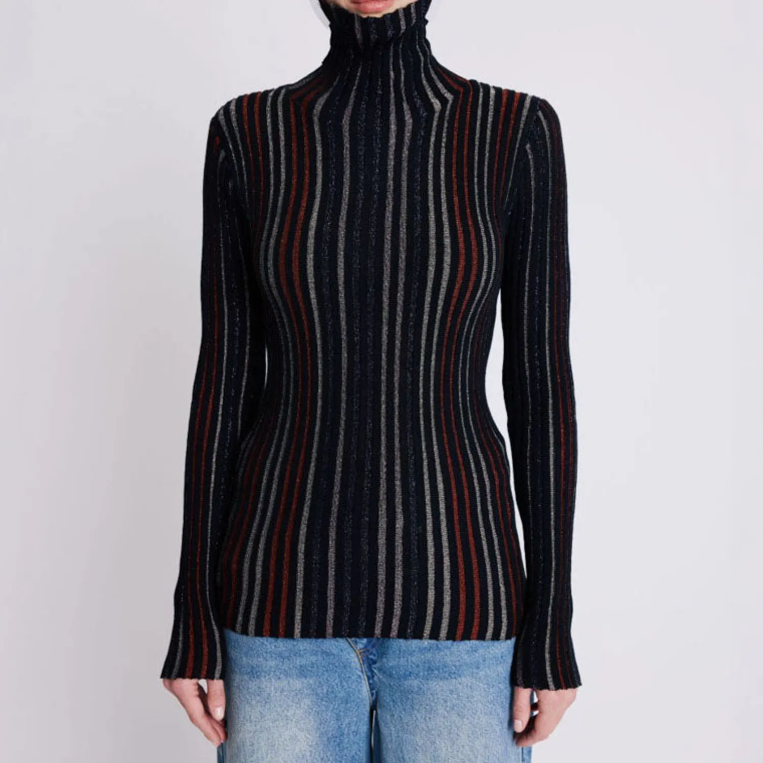 BERENICE A Glitter Lurex Stripe Roll Neck In Black Multi