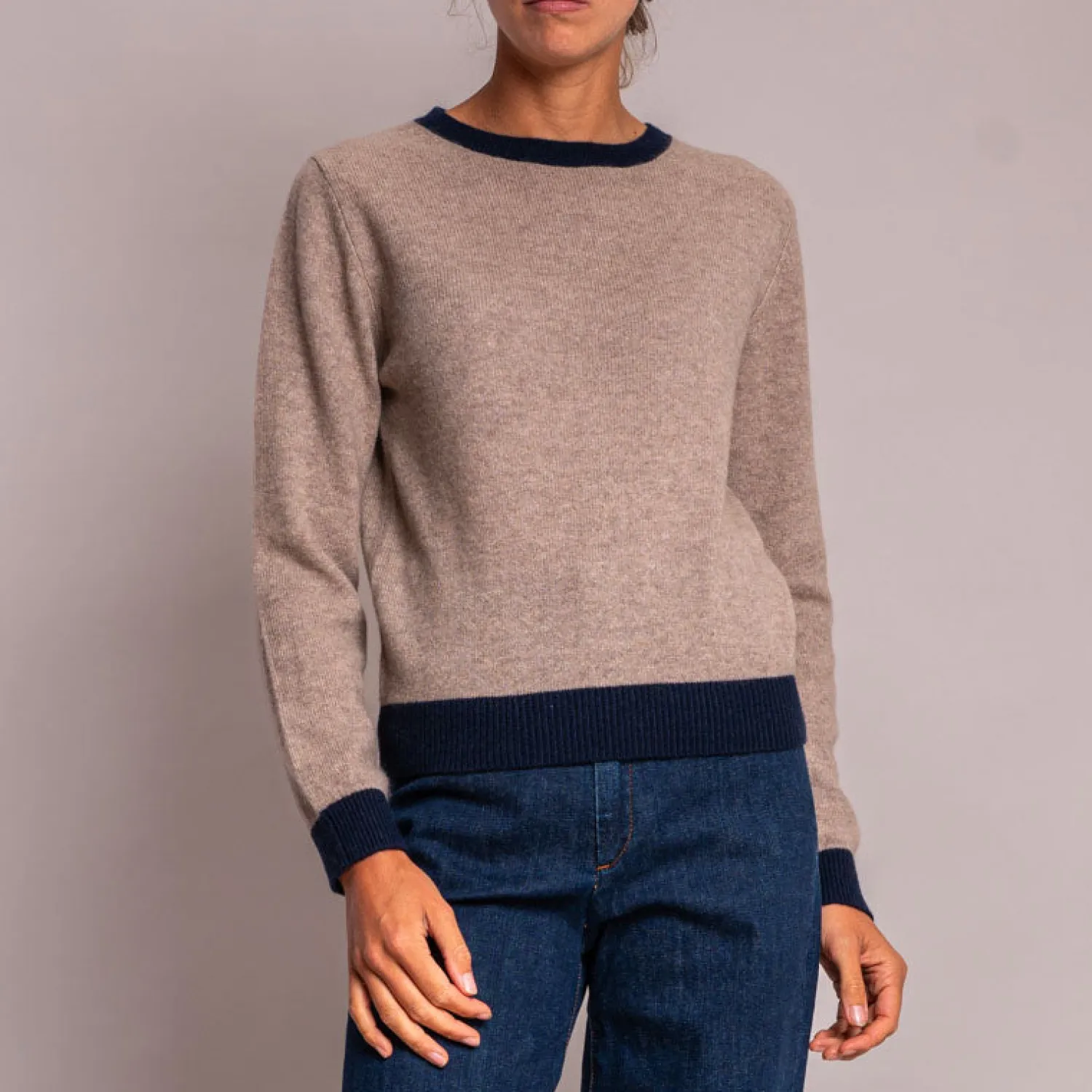 JUMPER1234 Contrast Crew Round Neck Jumper In Brown/Navy