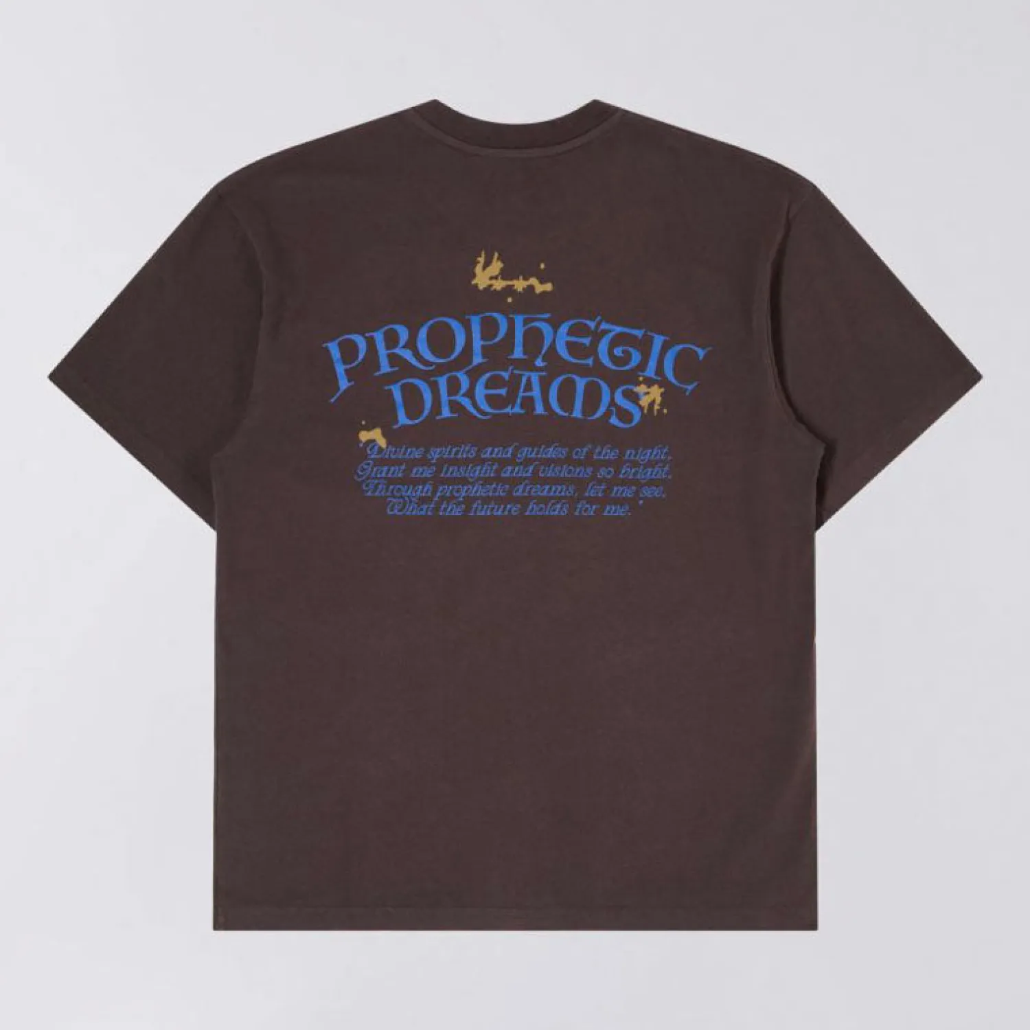 EDWIN Prophetic Dreams T Shirt In Mole