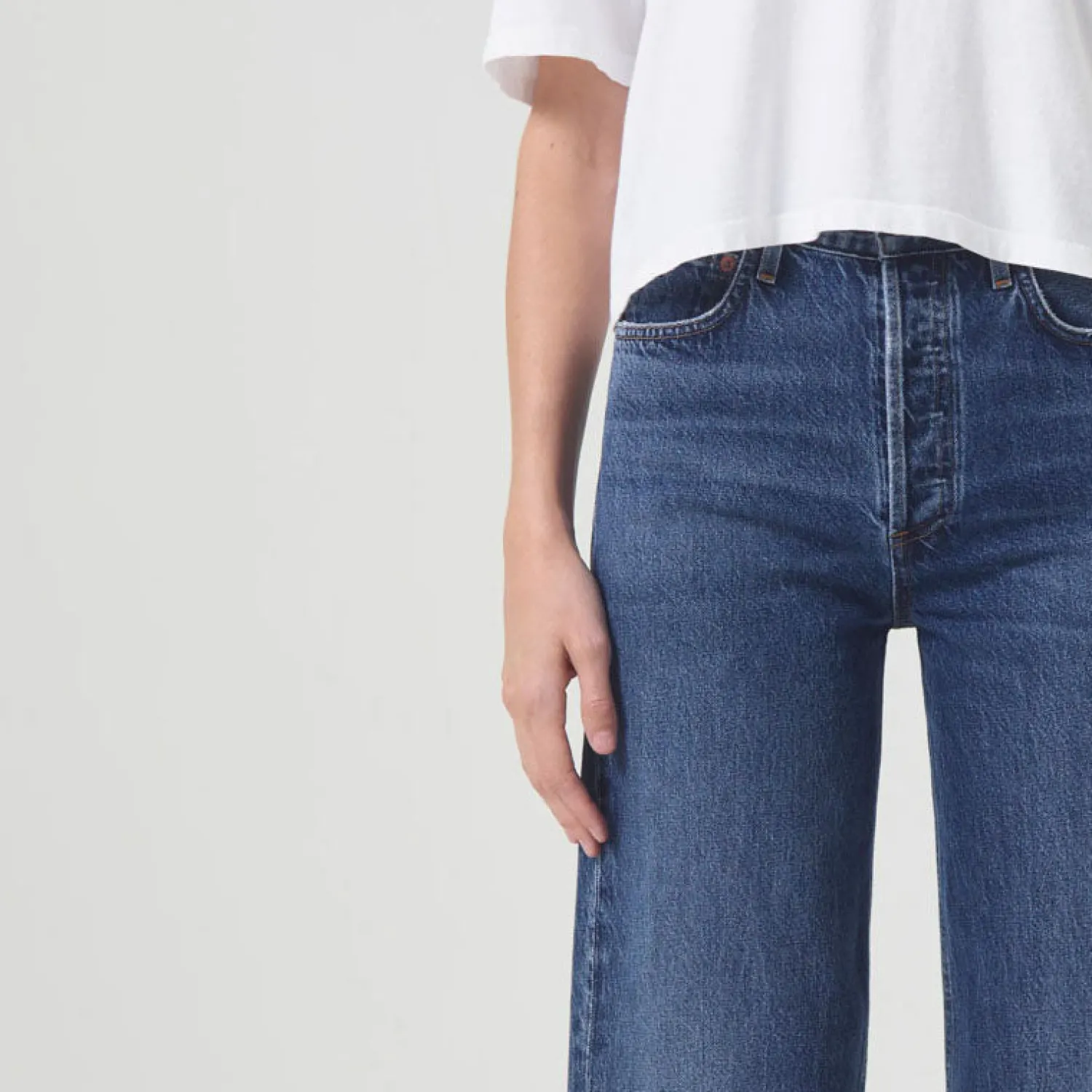 AGOLDE Ren High Rise Wide Leg Jeans In Control